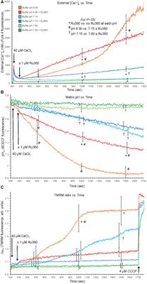 Slow Ca2+ Efflux by Ca2+/H+ Exchange in Cardiac Mitochondria Is Modulated by Ca2+ Re-uptake via MCU, Extra-Mitochondrial pH, and H+ Pumping by FOF1-ATPase